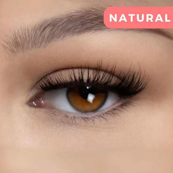 DreamLure — Command Every Room with Effortless, All-Day Magnetic Lash Drama