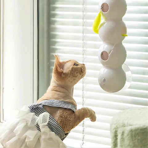 PouncePulse — Ignite Your Cat’s Wild Instincts with Nonstop Thrilling Chase