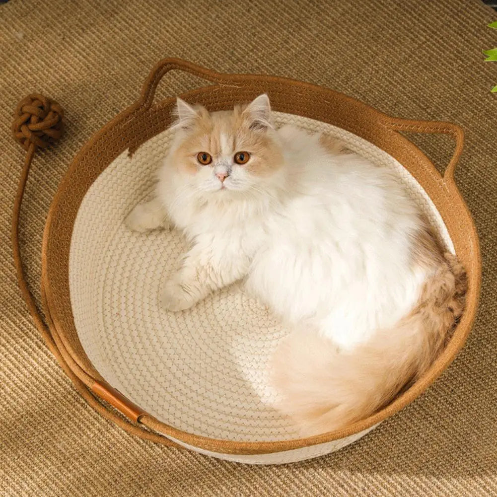 CoolBreeze Cat Throne — Create a Cool, Calm Sanctuary Your Cat Will Crave Every Sunny Day