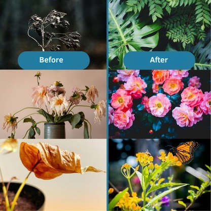 Overgrow™ — Ignite Your Garden’s Comeback with Pure, Powerful Life-Force