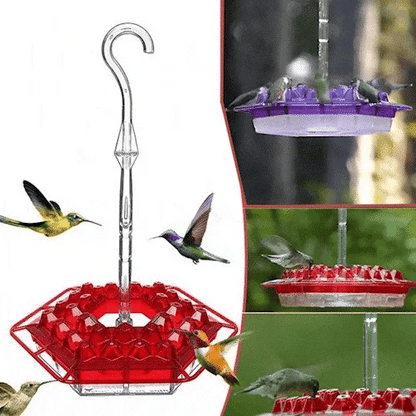 NectarNest — Fill Your Garden with Dazzling Hummingbird Magic Every Day