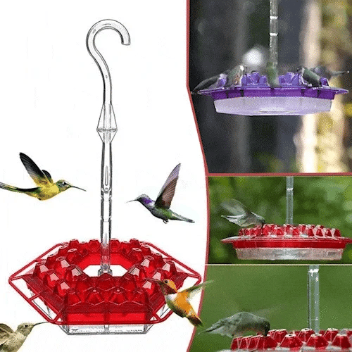 NectarNest — Fill Your Garden with Dazzling Hummingbird Magic Every Day